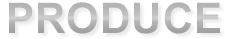 PRODUCE プロデュース